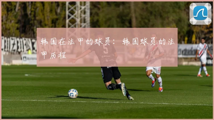 韩国在法甲的球员：韩国球员的法甲历程