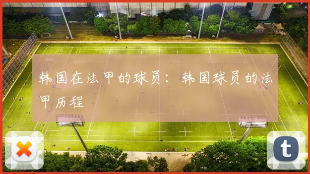 韩国在法甲的球员：韩国球员的法甲历程